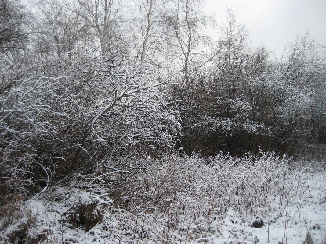 Скоро зима - Anna Ivanova