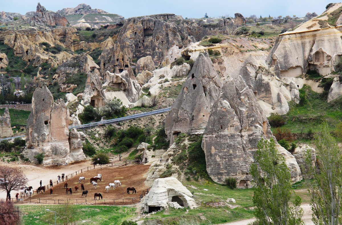 Лошадки - Сергей Никифоров