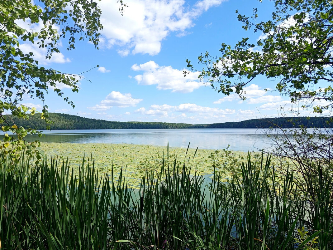 На озере ТЕРЕНКУЛЬ - Дмитрий Петренко На озере ТЕРЕНКУЛЬ - Дмитрий Петренко