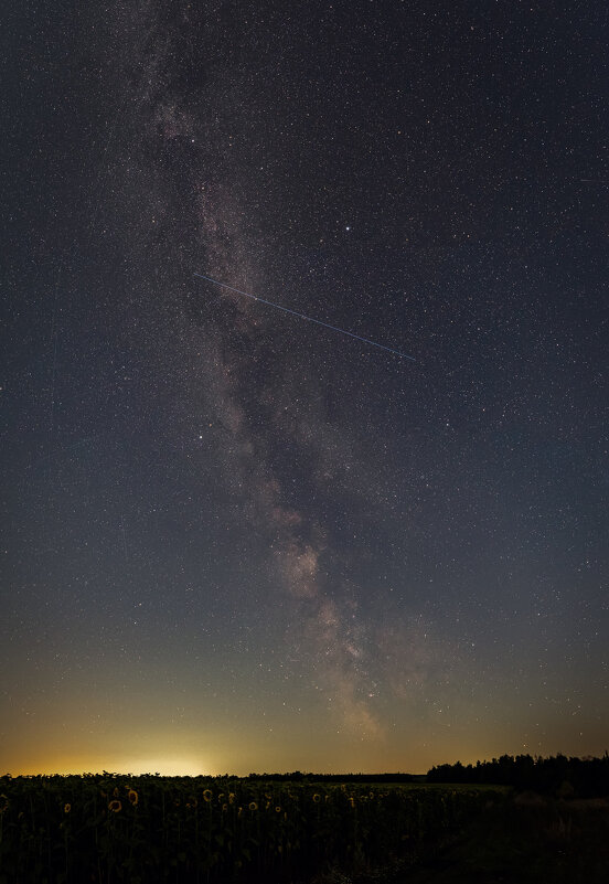 в сумерках - Виталий Емельянов