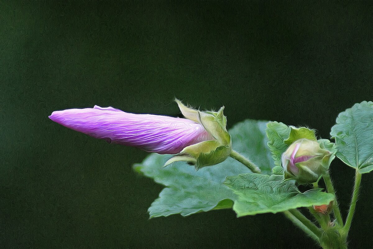 *** - Леонид leo