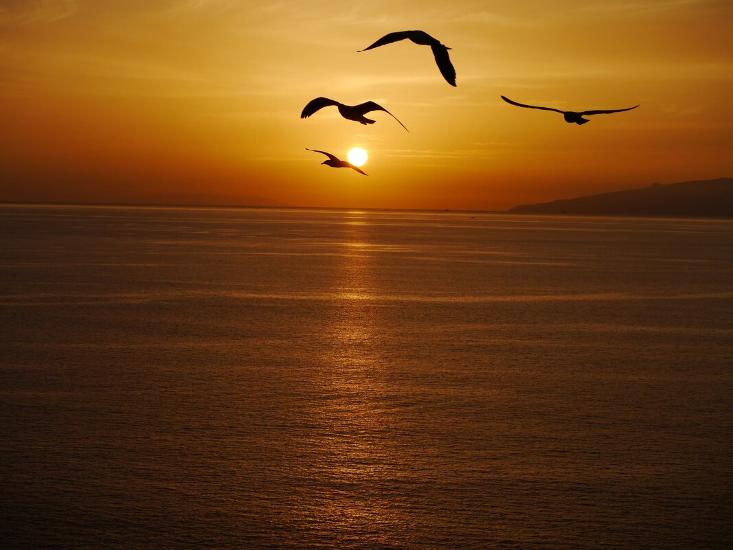 Вечерняя заря - Ольга Лебедева (Беловласова)