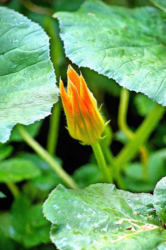 *** - Леонид leo