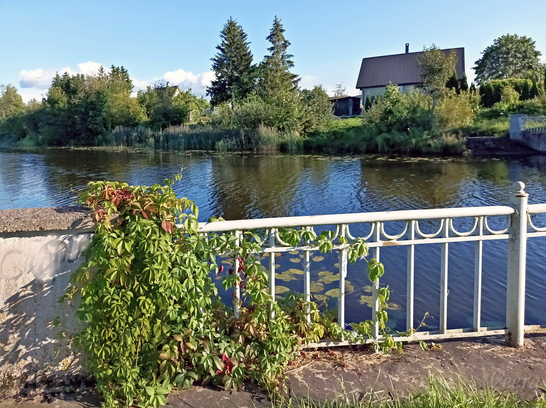 На подводящем канале - Veera V На подводящем канале - Veera V