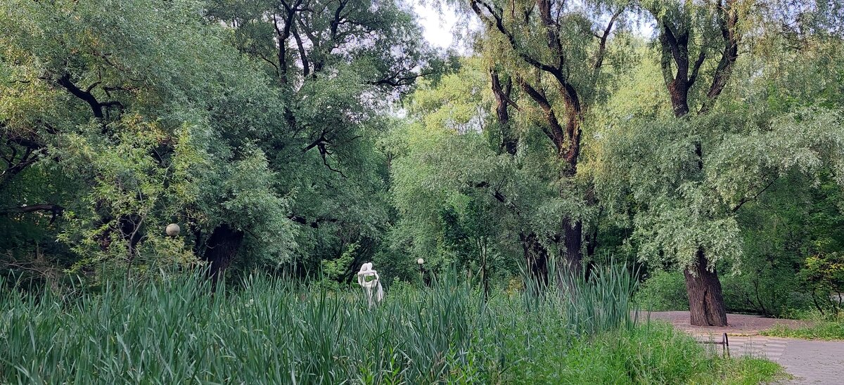 в парке Отрадное - ИРЭН@ .