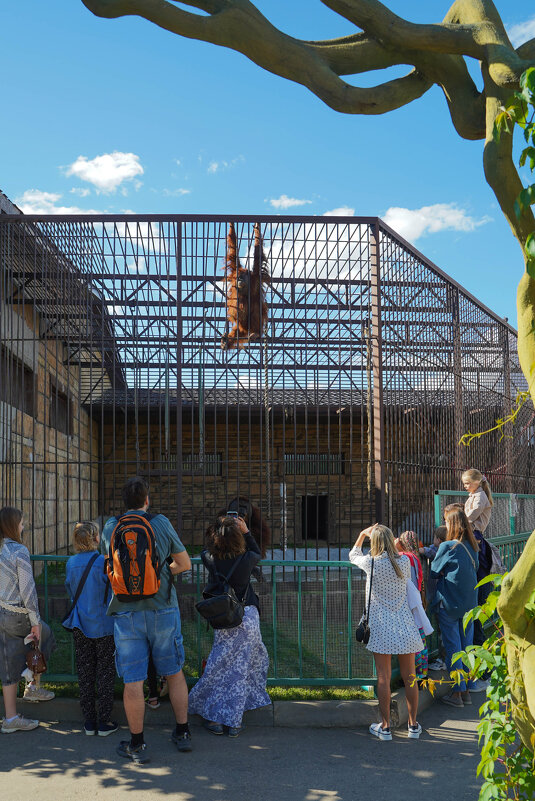 СВЕРХУ_И_СНИЗУ - Сергей Янович Микк