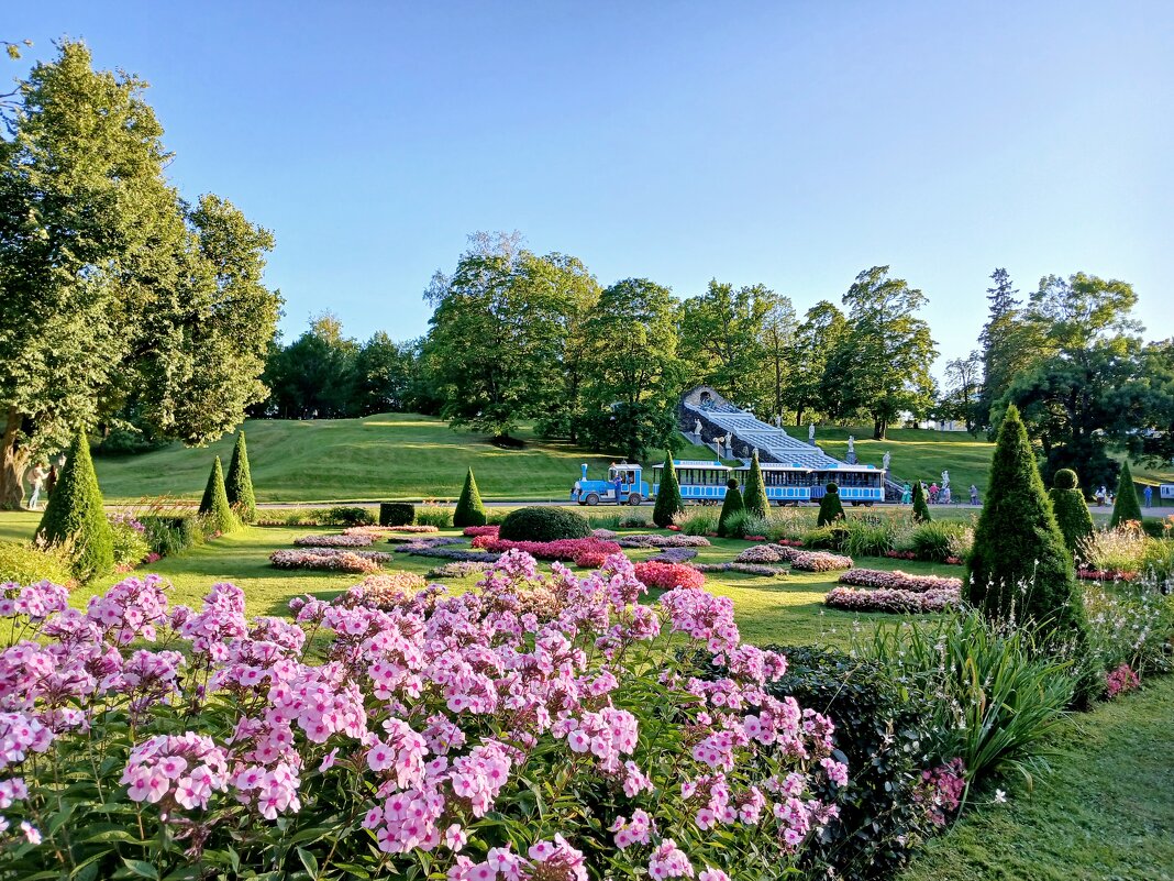 Нижний парк цветёт. - Лия ☼ Нижний парк цветёт. - Лия ☼