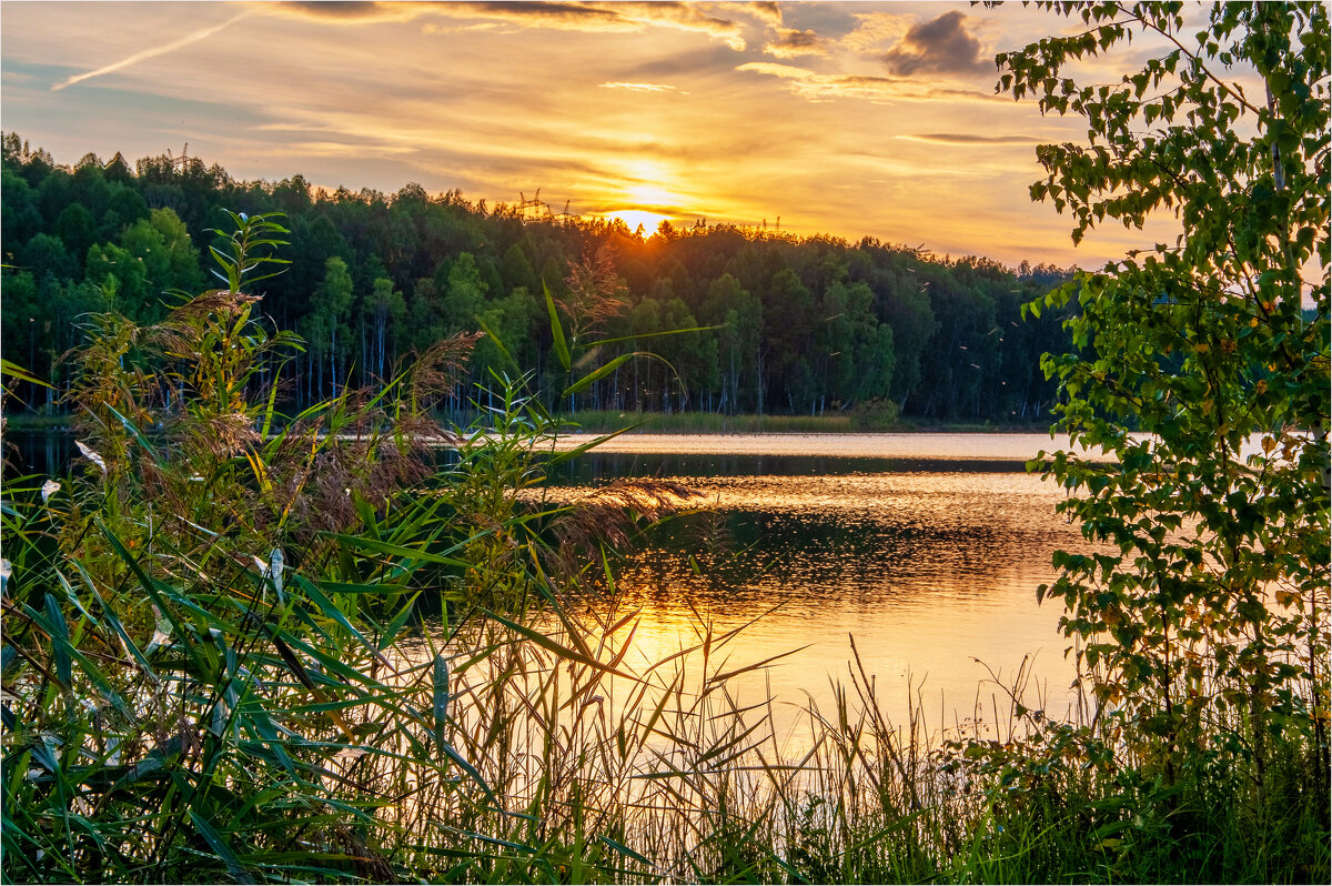 **** - Алексей Мезенцев