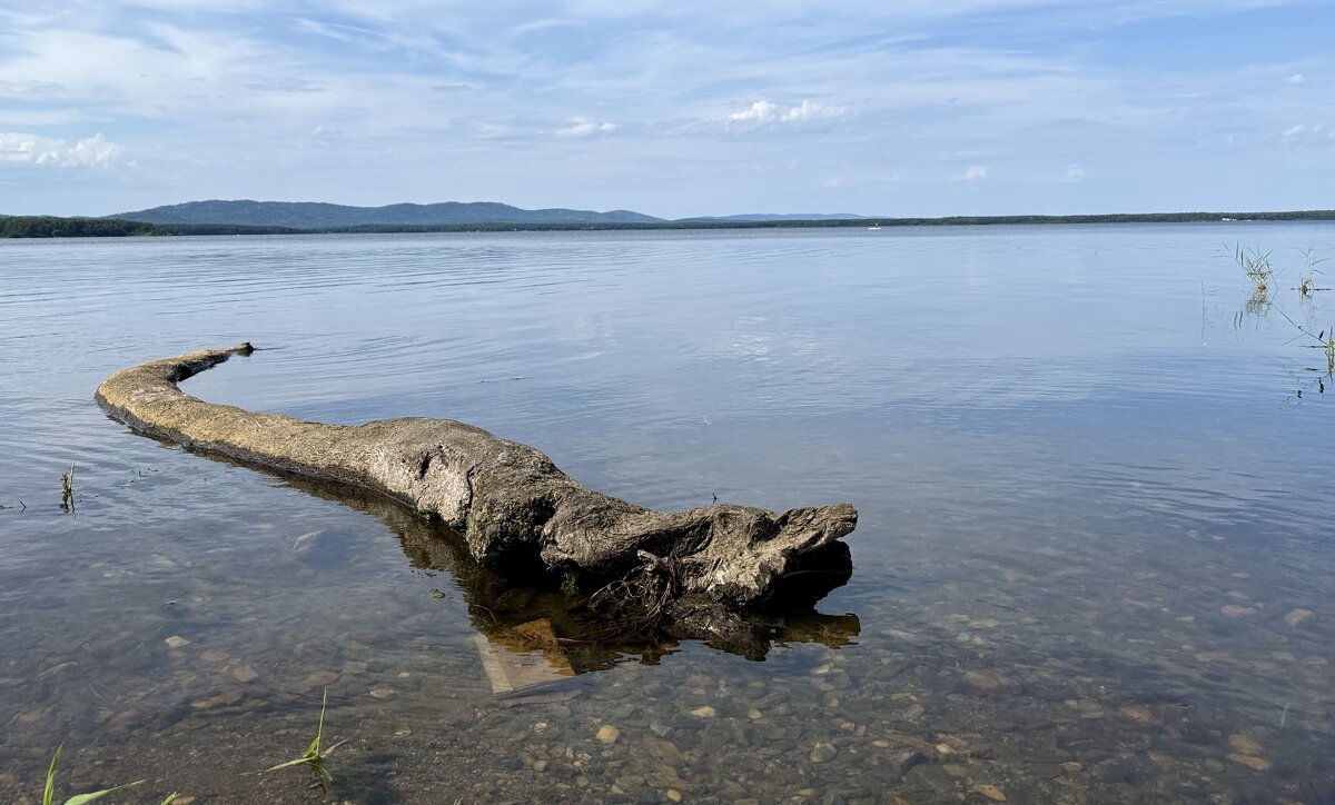 Спящий дракон в озере. - Сергей Адигамов Спящий дракон в озере. - Сергей Адигамов