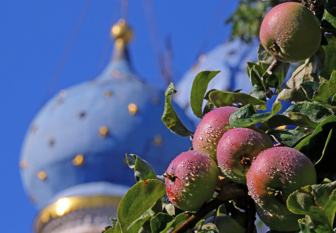 Яблочный Спас - Михаил Бибичков
