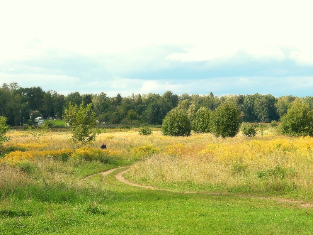 *** - Леонид leo