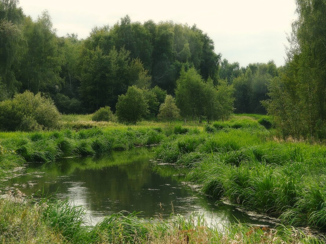 *** - Леонид leo *** - Леонид leo