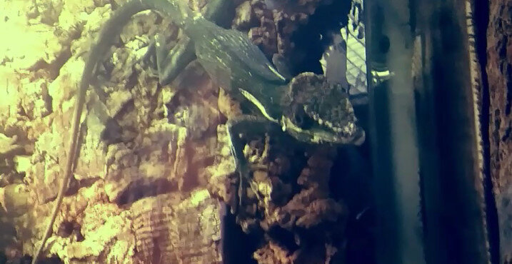 112 (216) - СТРЕН 