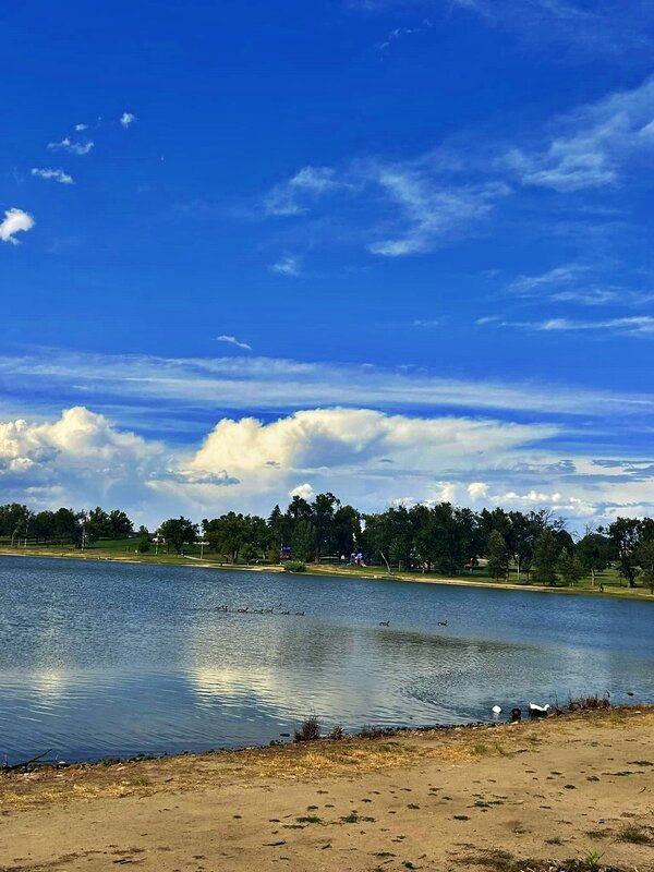 УТИНЫЙ   ПРУД - Анатолий Малобродский