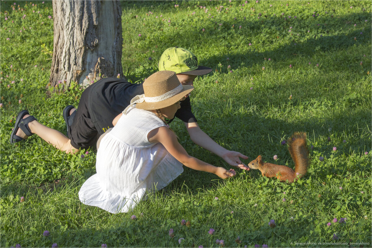 Алиса везде находит друзей - Анастасия Северюхина