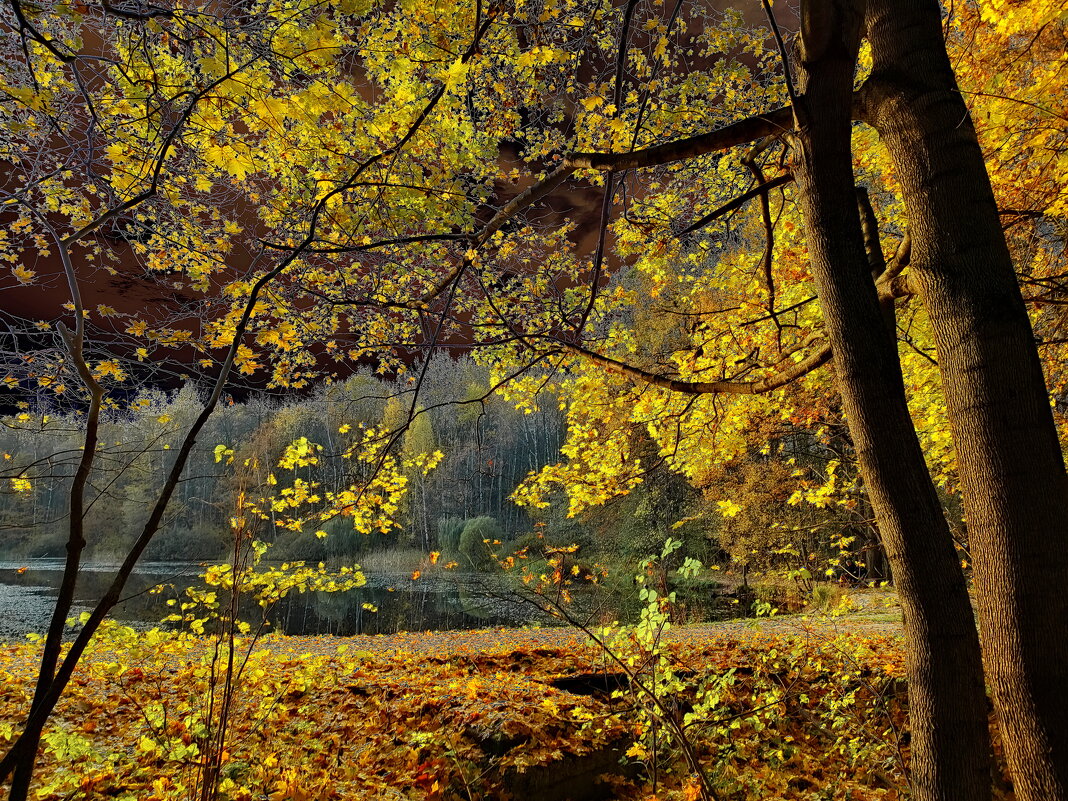 На мотив Бориса Пастернака / Август - Victor Vinocurov