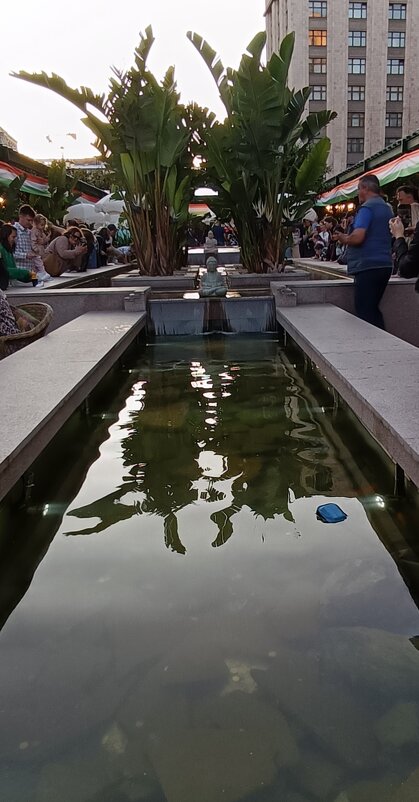 причудливые отражения - Галина R...