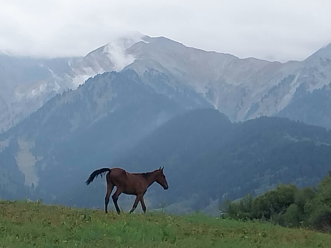 Talgar. - Murat Bukaev 