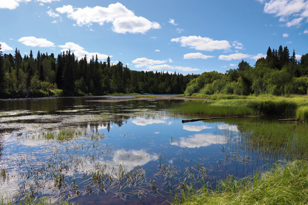 Ясный денёк... - Галина Ильясова