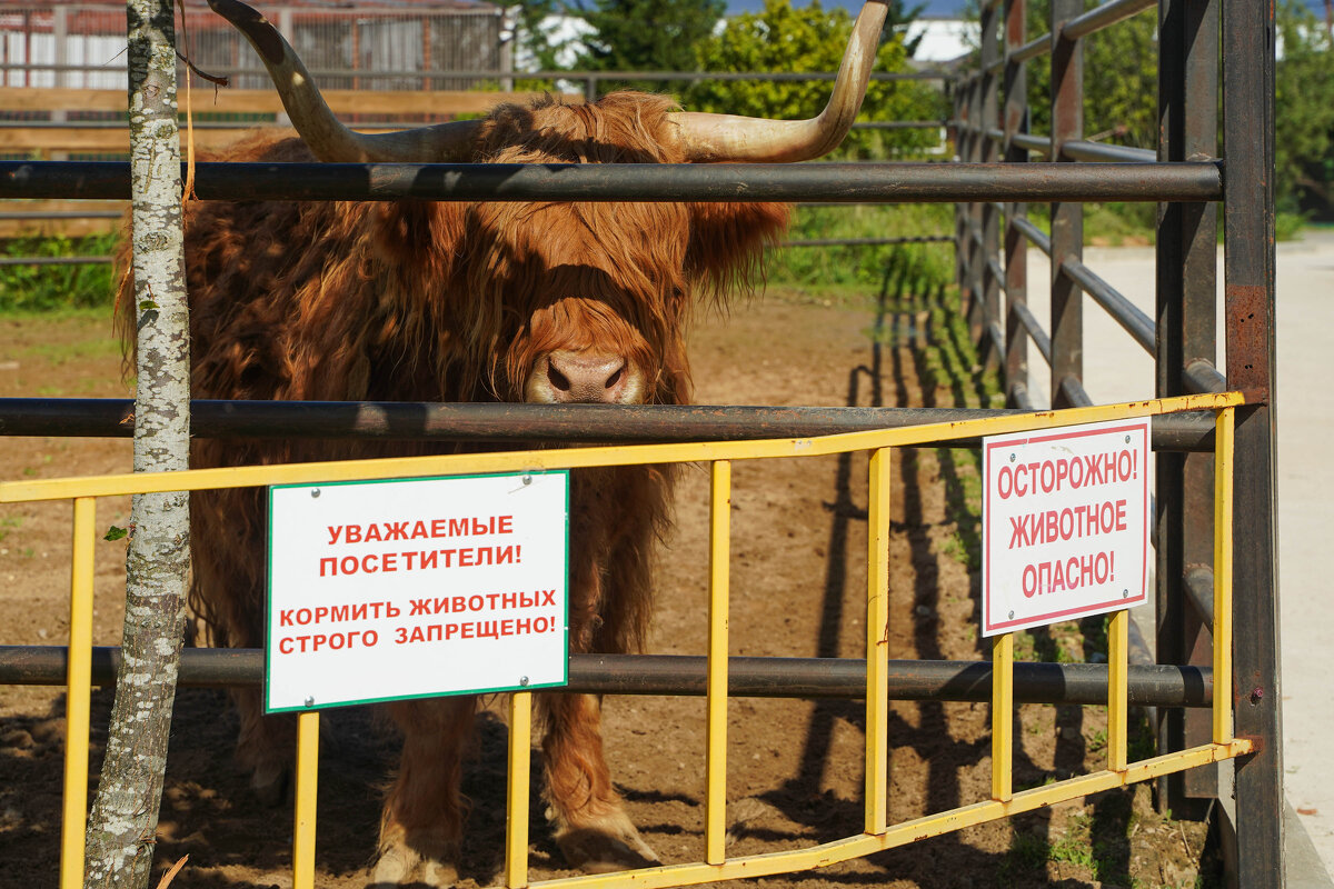 УВАЖАЕМЫЕ - Сергей Янович Микк
