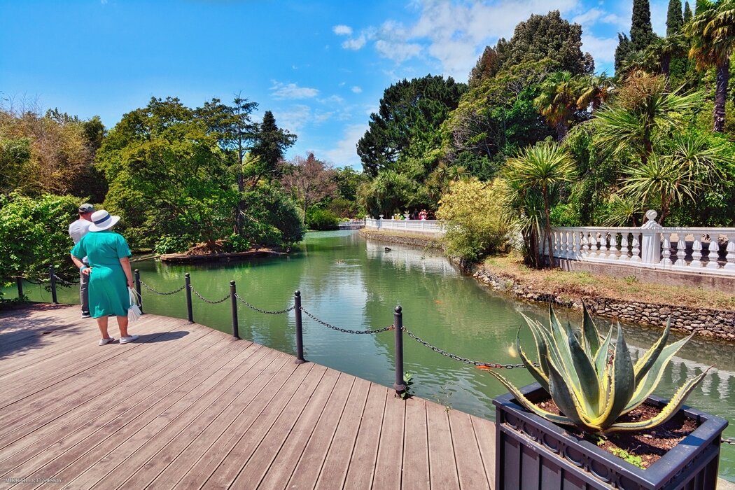 На пруду - Mikhail Irtyshskiy