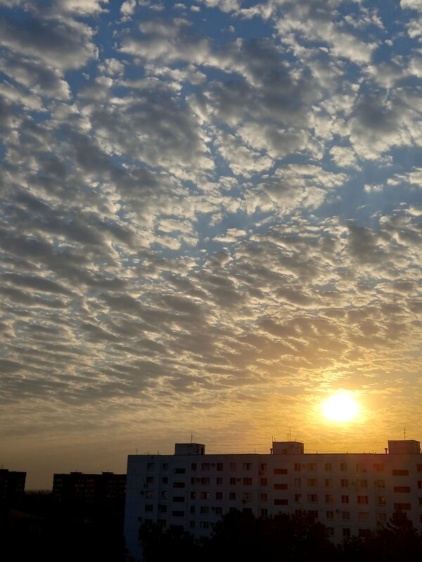 Утро раннее...Солнце уже взошло.... - tatyana 