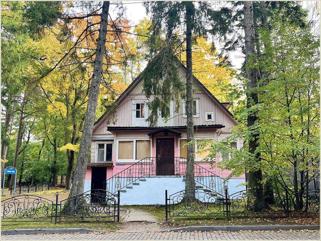 Домики Светлогорска. - Валерия Комова