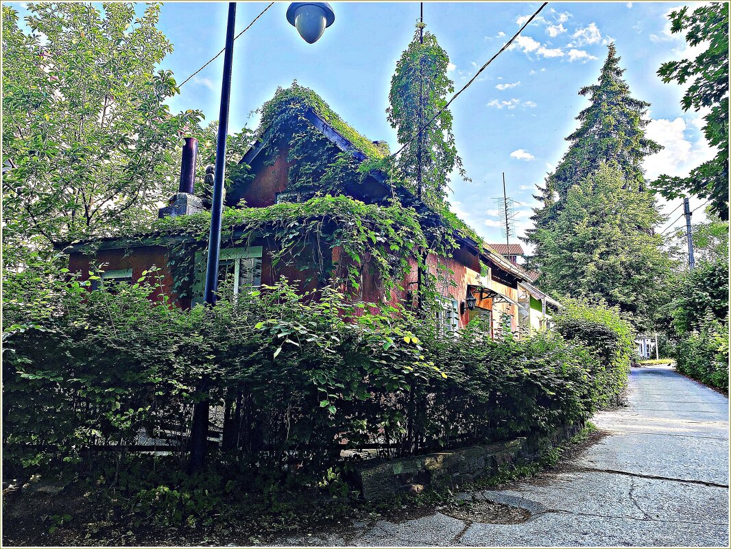 Светлогорское лето. - Валерия Комова