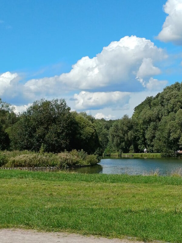 Терлецкий парк в Москве. - Ольга Довженко