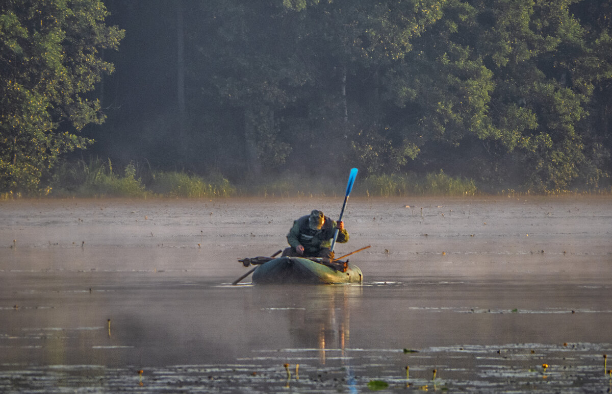 В утреннем тумане - Сергей Цветков