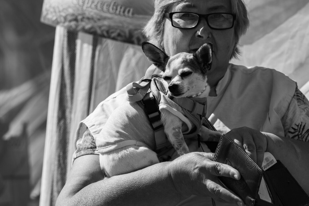 Дама с собачкой. - Алексей Ковынев