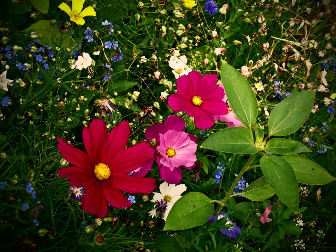 Летние этюды 83 - Алексей Кузнецов Летние этюды 83 - Алексей Кузнецов