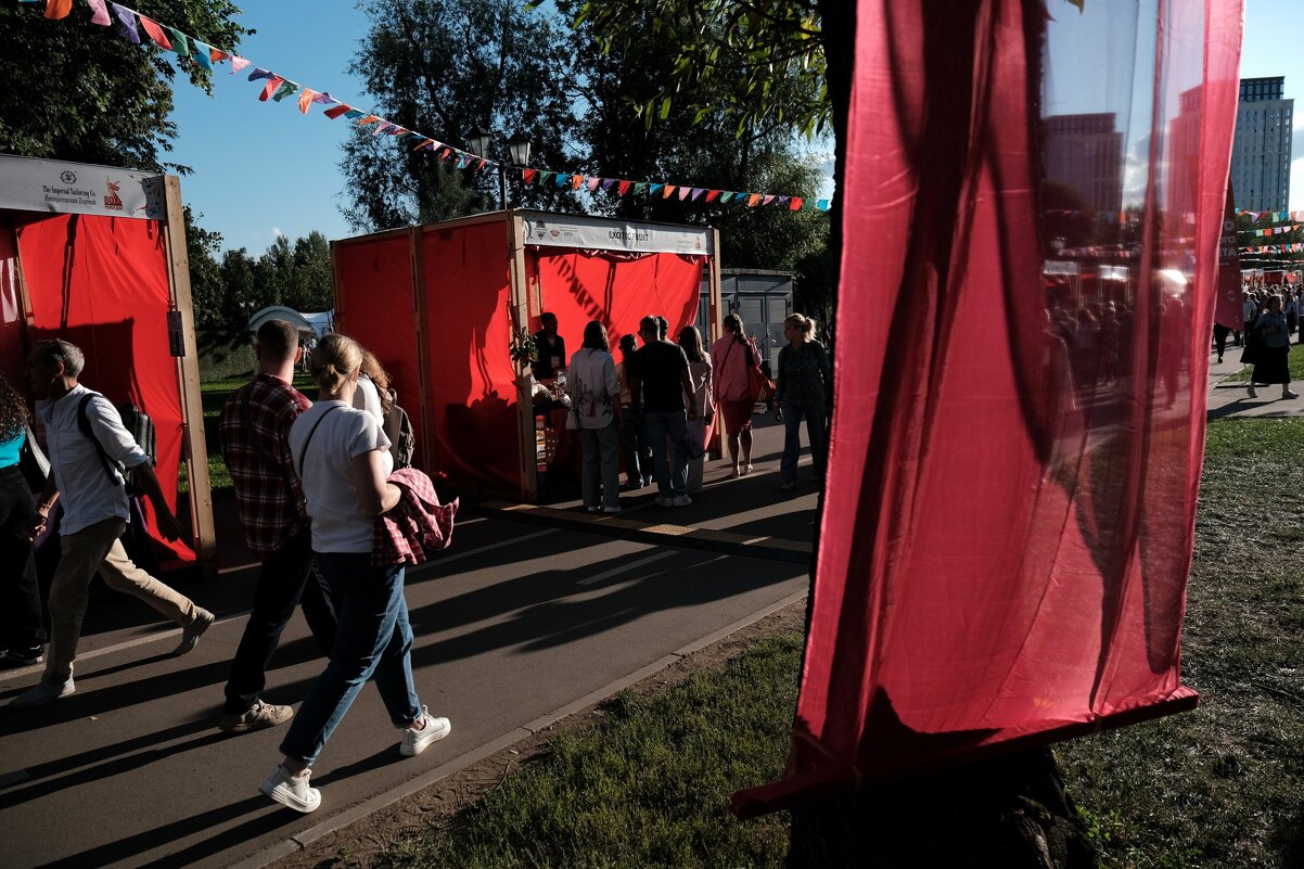 Индия фест - Сергей Золотавин