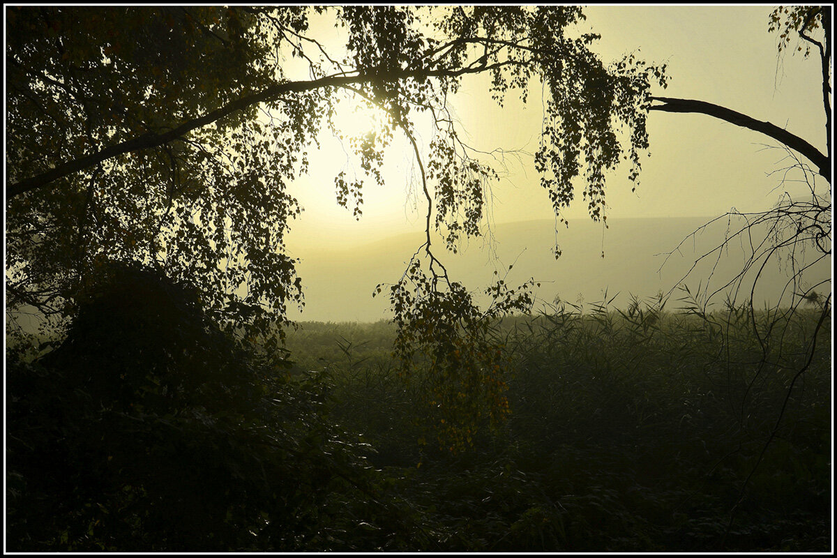 Светает - Aleksandr Gal Светает - Aleksandr Gal