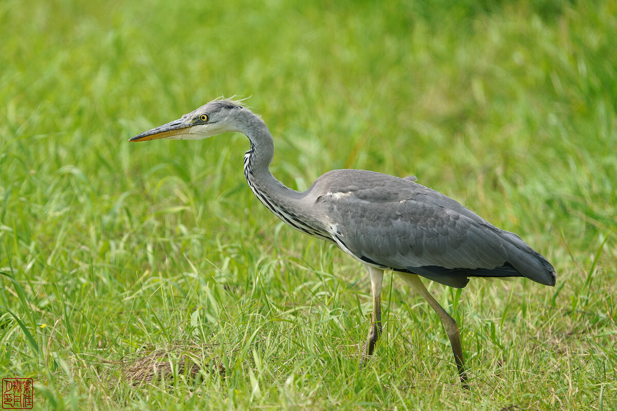 * * * - Станислав С.