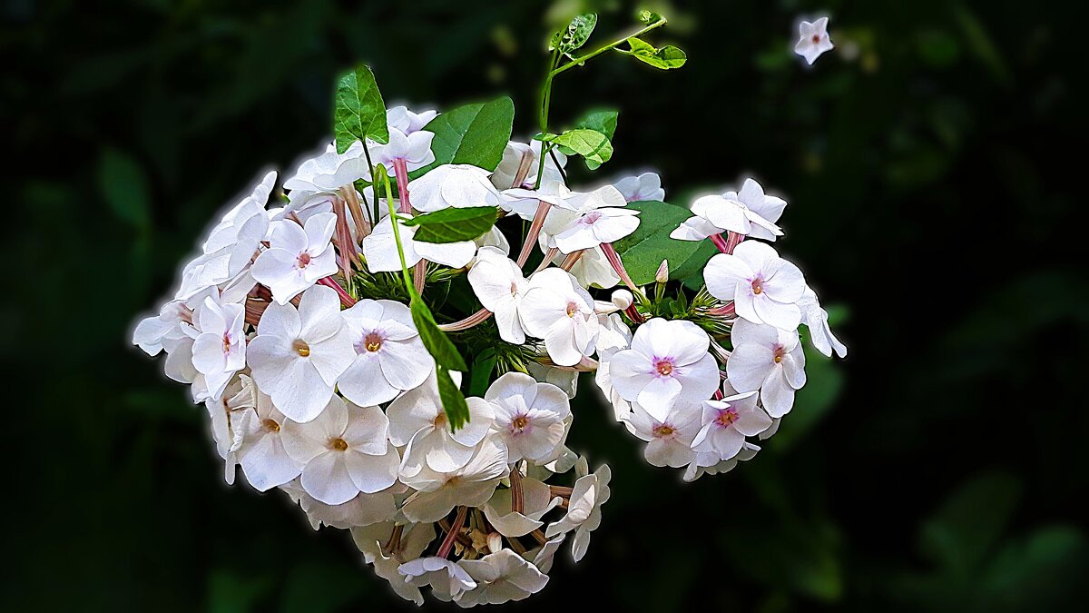 Вдохновение - Hope 