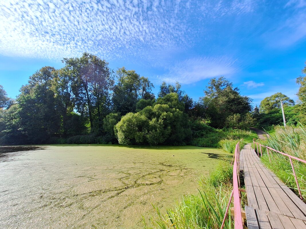 Мостик - Наталья 