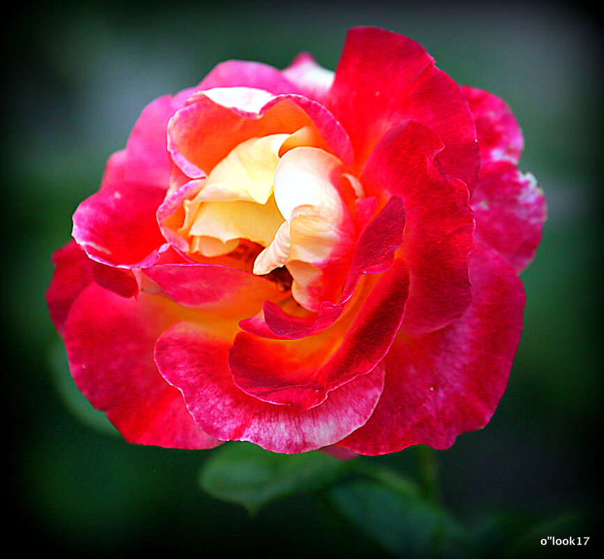 они на радость нам даны - Олег Лукьянов