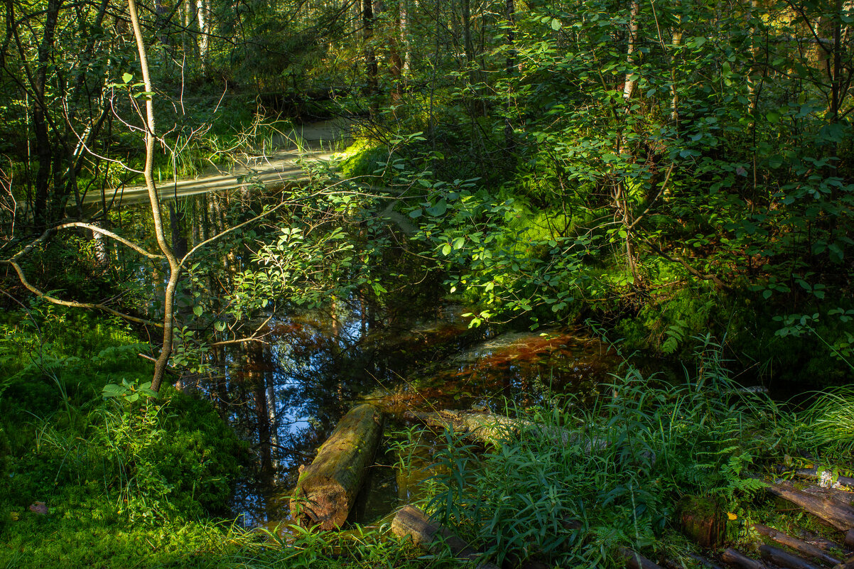 Тихий омут. - Михаил "Skipper"