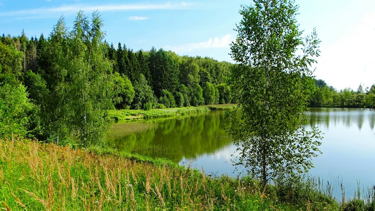 Наше лето - Милешкин Владимир Алексеевич Наше лето - Милешкин Владимир Алексеевич