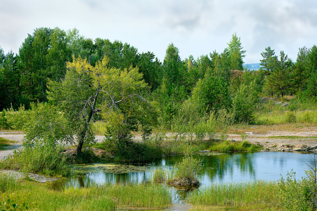 Про озёра - Дмитрий Конев Про озёра - Дмитрий Конев