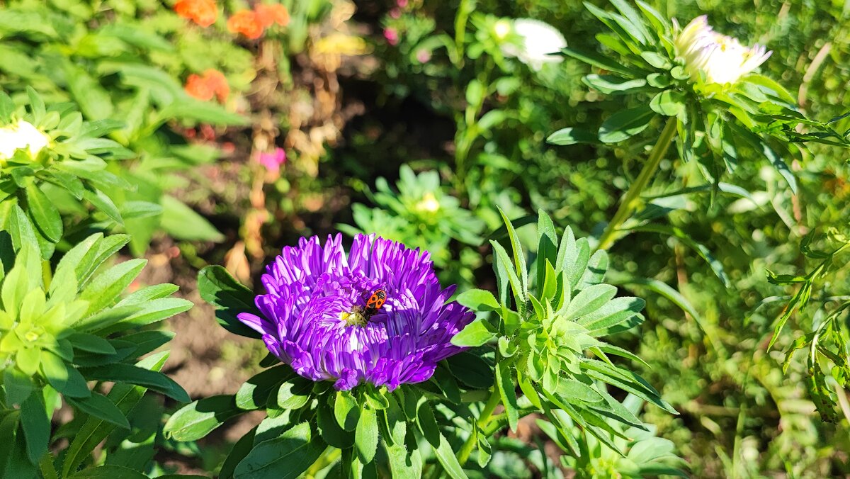 ,,, - Сергей Тимоновский