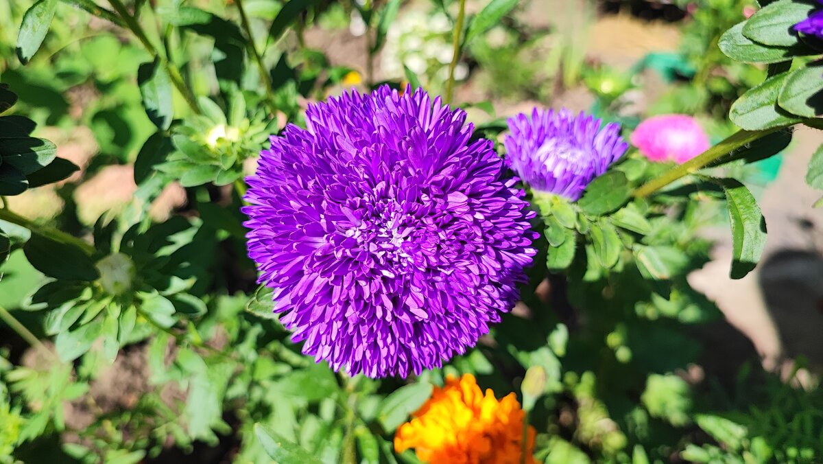 ,,, - Сергей Тимоновский