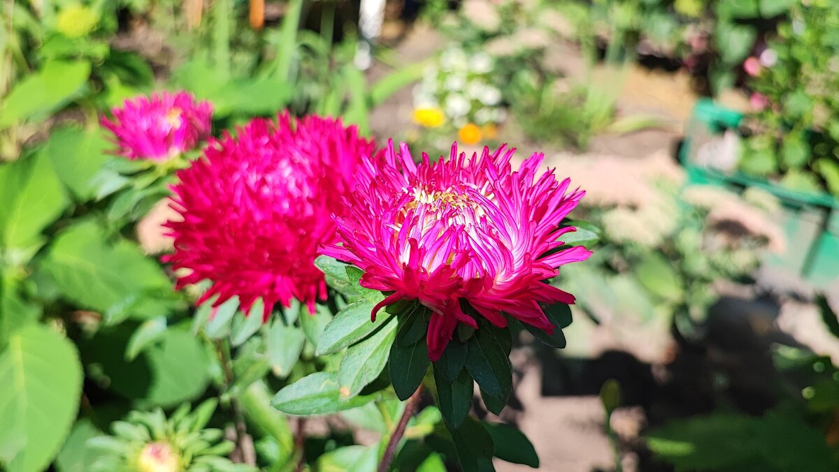 ,,, - Сергей Тимоновский