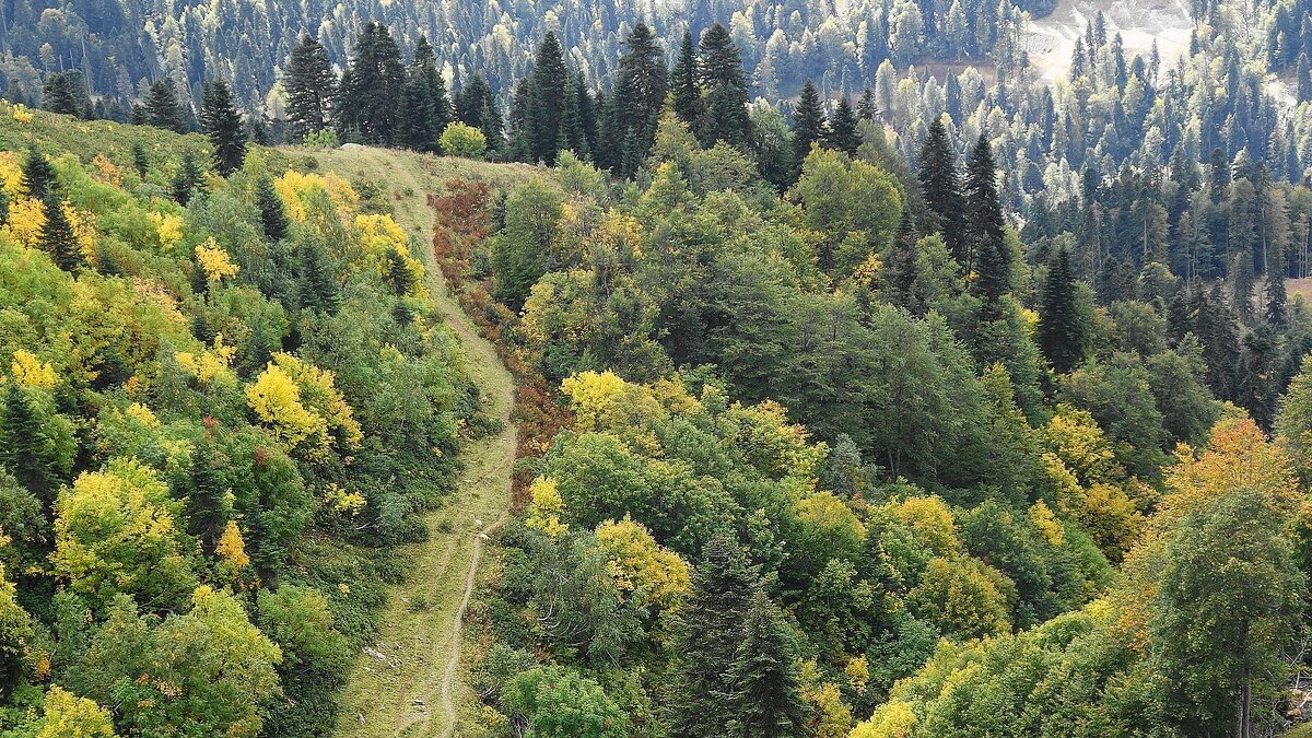 Кавказские горы - Рита Симонова