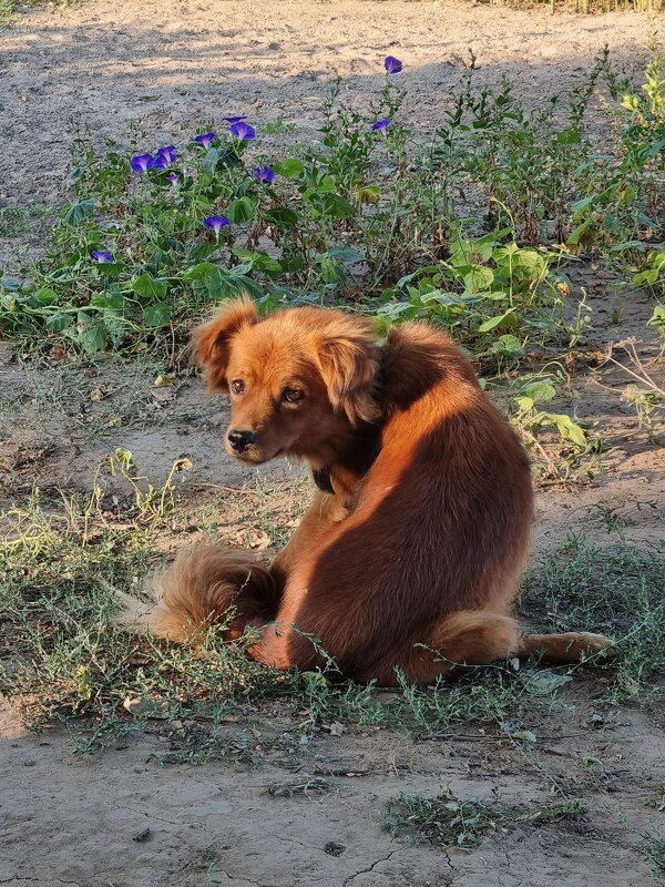 Оглянулся, посмотрел... - Наталья 