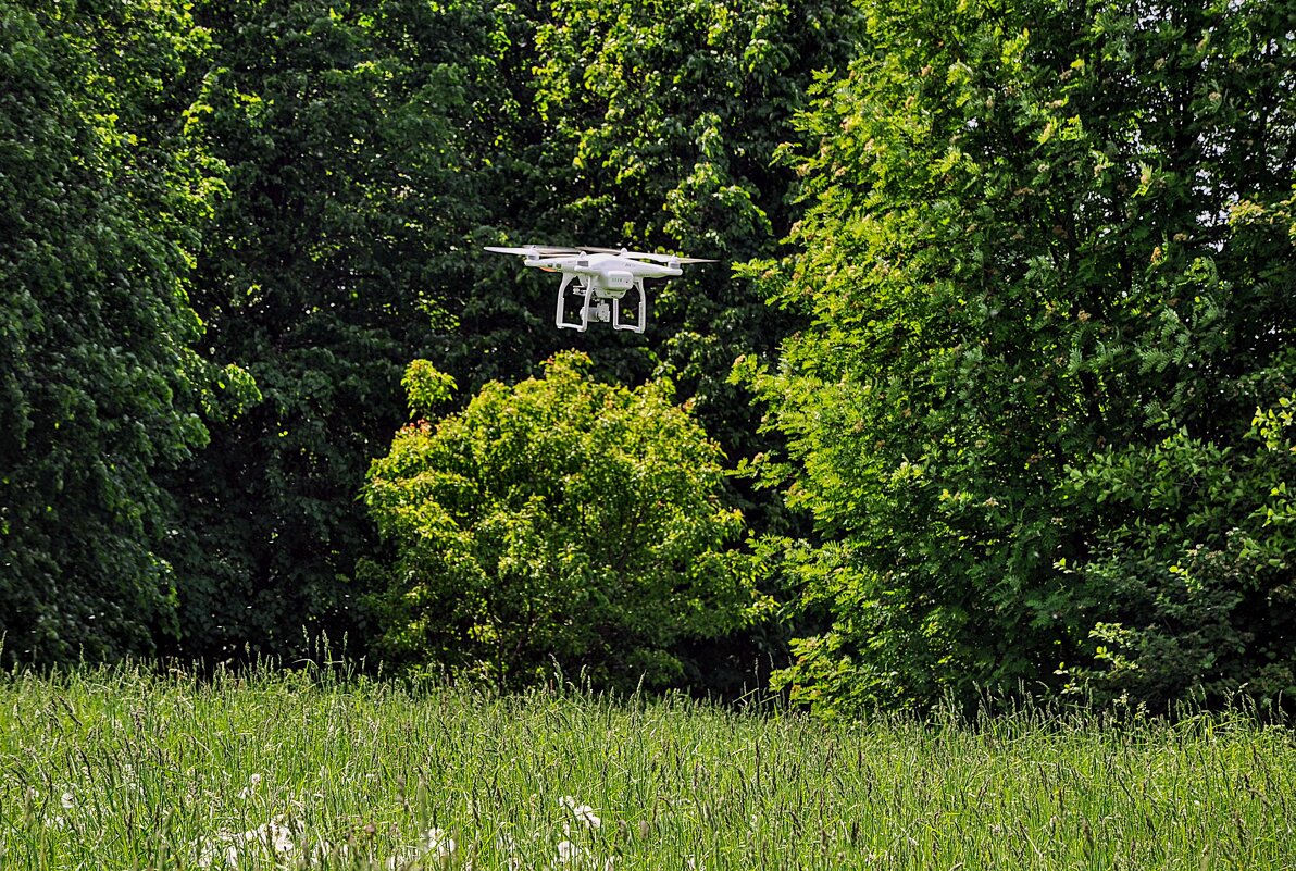 Мирный дрон,,,, - Анатолий Колосов