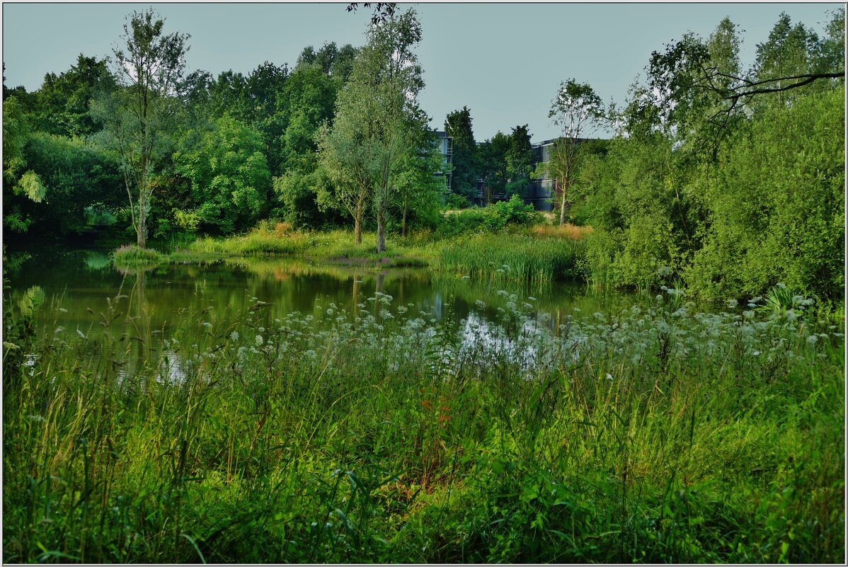 У ОЗЕРА... - Elvira E. 