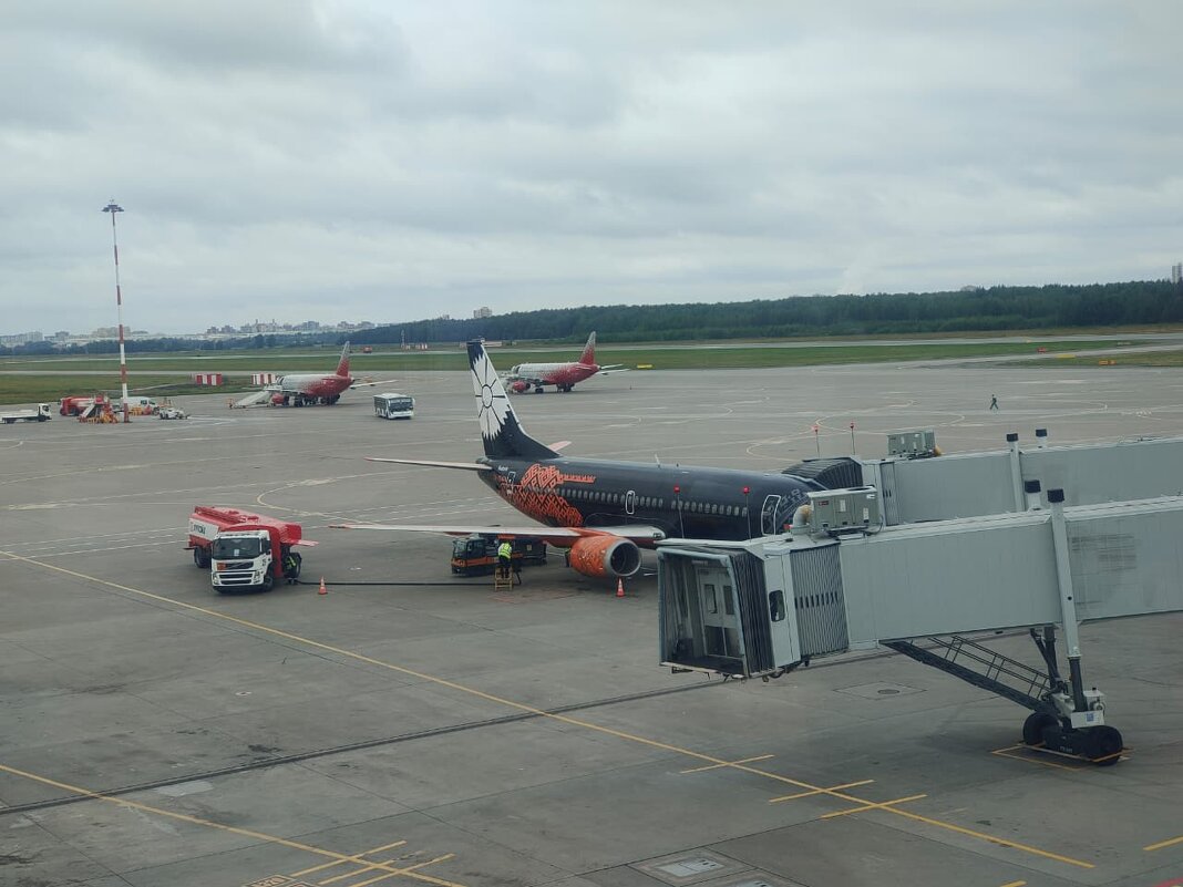 Полчаса до рейса - Ирэн Полчаса до рейса - Ирэн