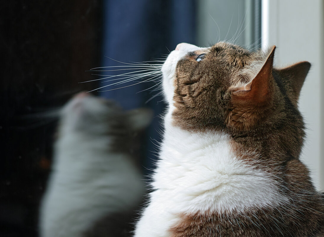 ... - ВЛАДИМИР 